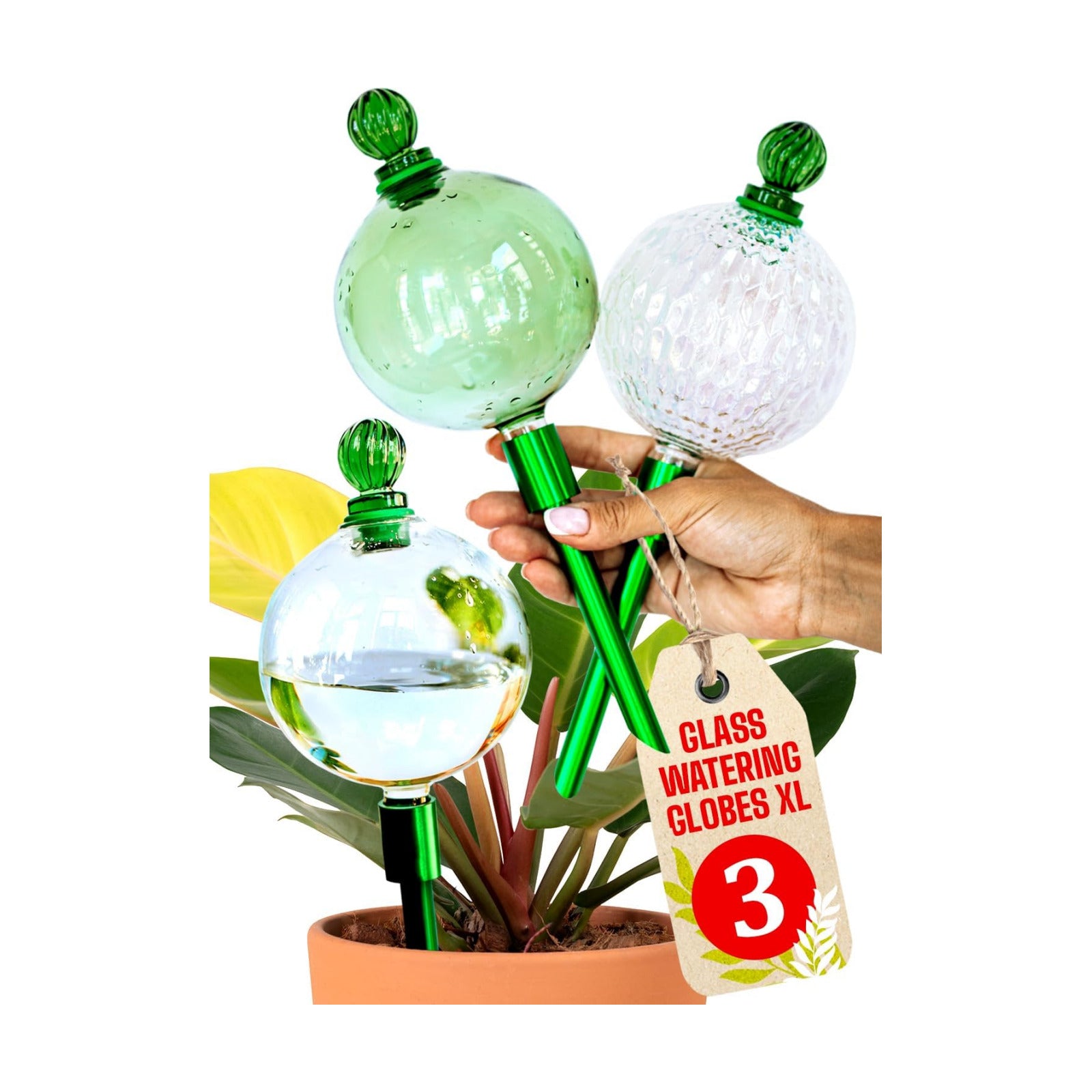 3pc 16oz Plant Watering Globes for Indoor Plants Self Watering Plant Insert | Premium XL Glass Hand-Blown Globe with