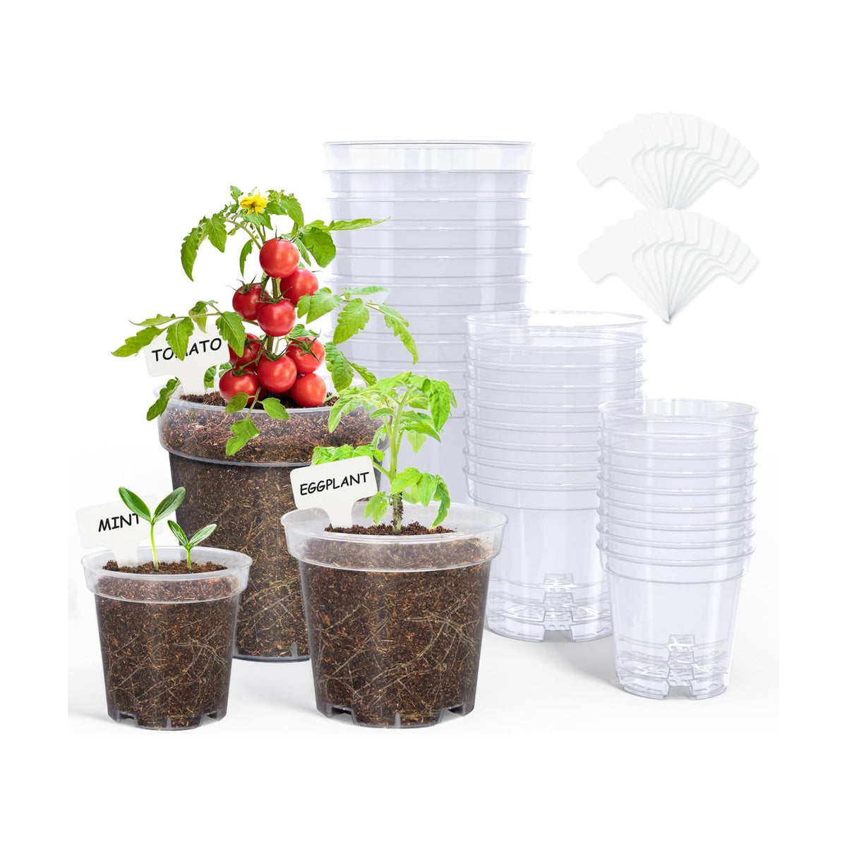 homenote 3/4/5 Inch Clear Nursery Pots with Drainage and 20 Labels (30 Pcs)