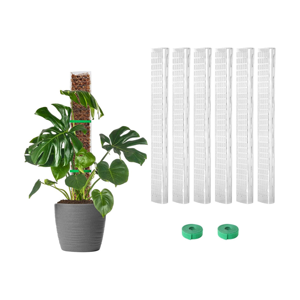 EOX Plastic Moss Pole for Monstera and Climbing Plants, 24-Inch, 6-Pack | Clear D-Shaped Design, Fold-to-Assemble