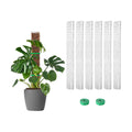 EOX Plastic Moss Pole for Monstera and Climbing Plants, 24-Inch, 6-Pack | Clear D-Shaped Design, Fold-to-Assemble