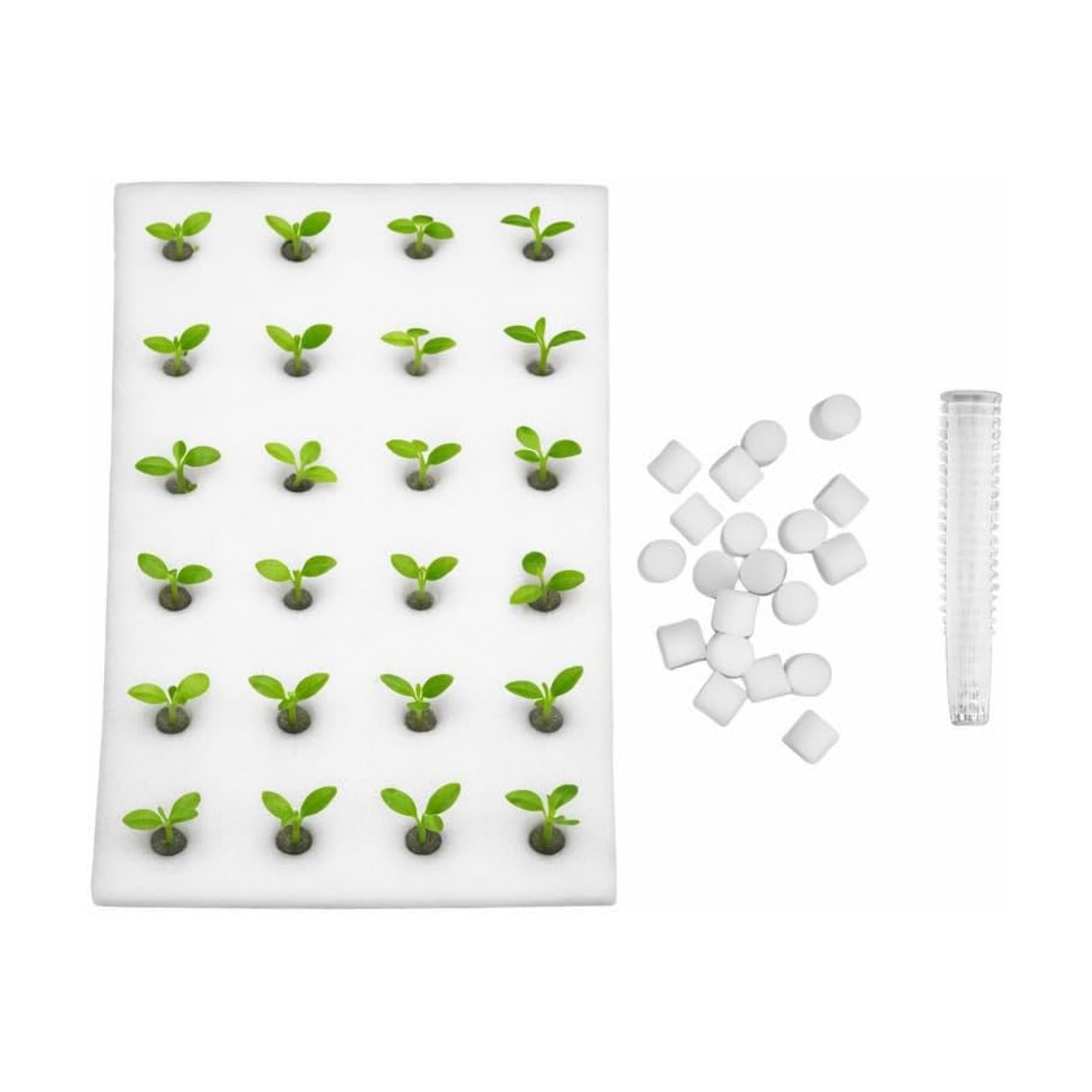 DOITOOL 24 Hydroponic Sponges Planting Tool Planting Tray with 24 Holes Floating Gardening Plate Soilless Cultivation