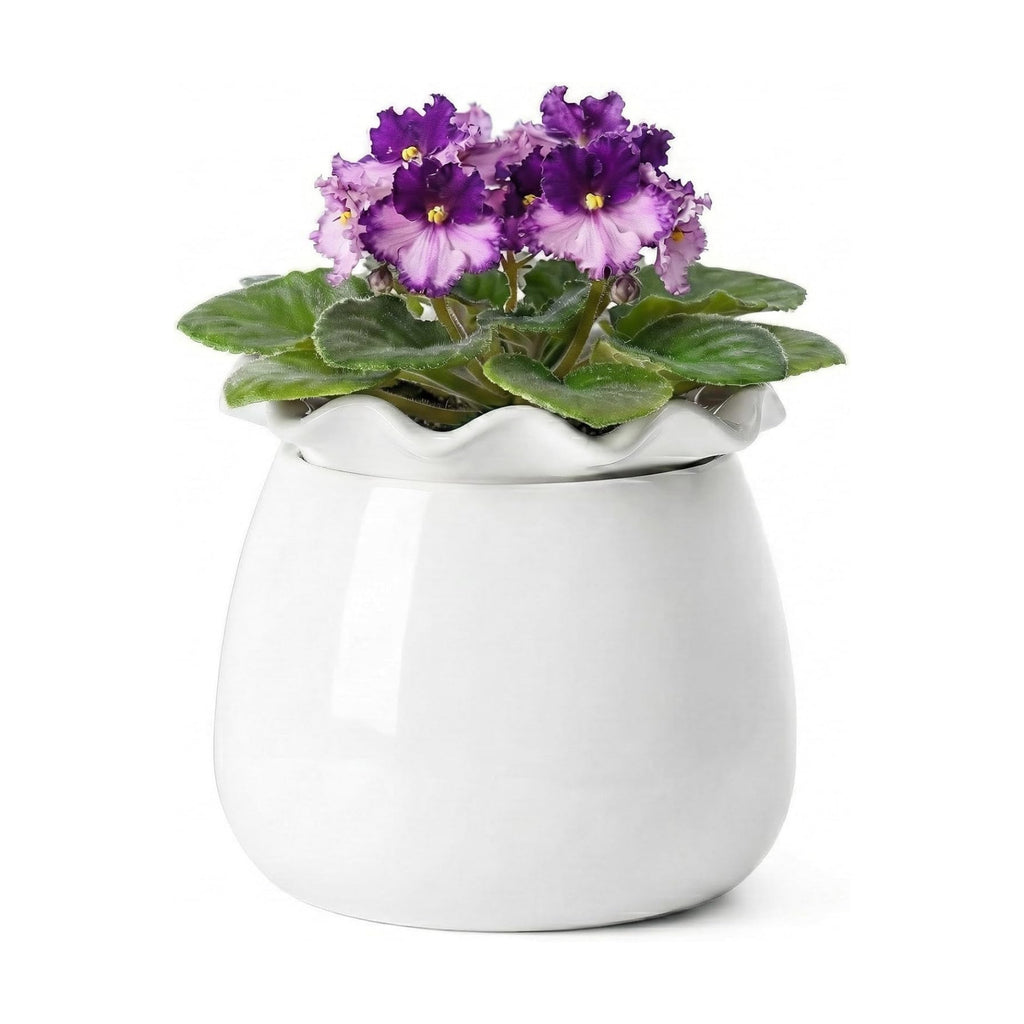 Fayoula Self Watering Plant Pot, 6 Inch African Violet Pots Maintenance, Ceramic Self-Watering Planter for Indoor