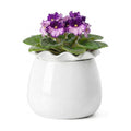 Fayoula Self Watering Plant Pot, 6 Inch African Violet Pots Maintenance, Ceramic Self-Watering Planter for Indoor