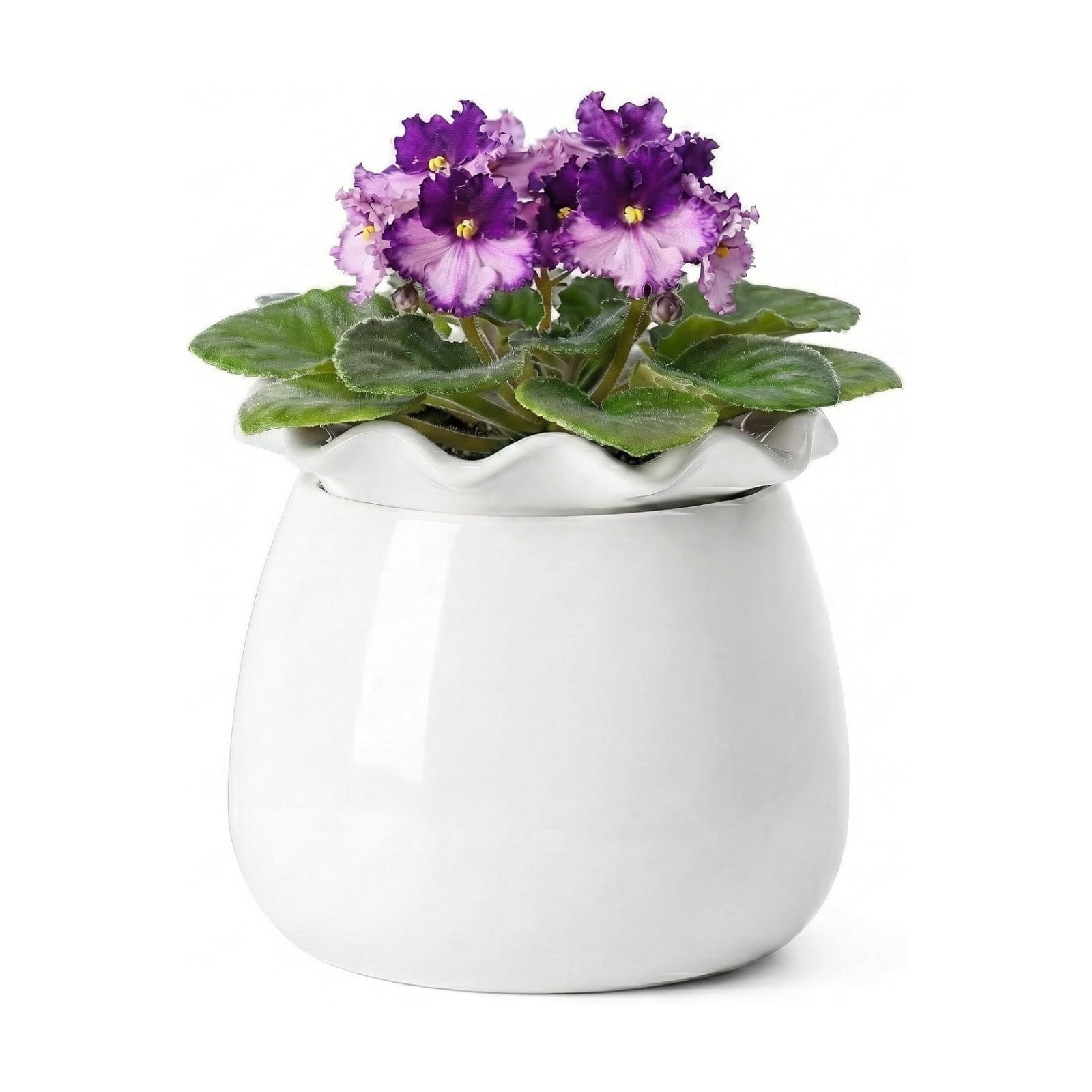 Fayoula Self Watering Plant Pot, 6 Inch African Violet Pots Maintenance, Ceramic Self-Watering Planter for Indoor