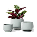 LE TAUCI Plant Pots for Indoor Plants, 4.1+5.1+6.5 inch, Set of 3, Ceramic Planters with Drainage Hole and Saucer