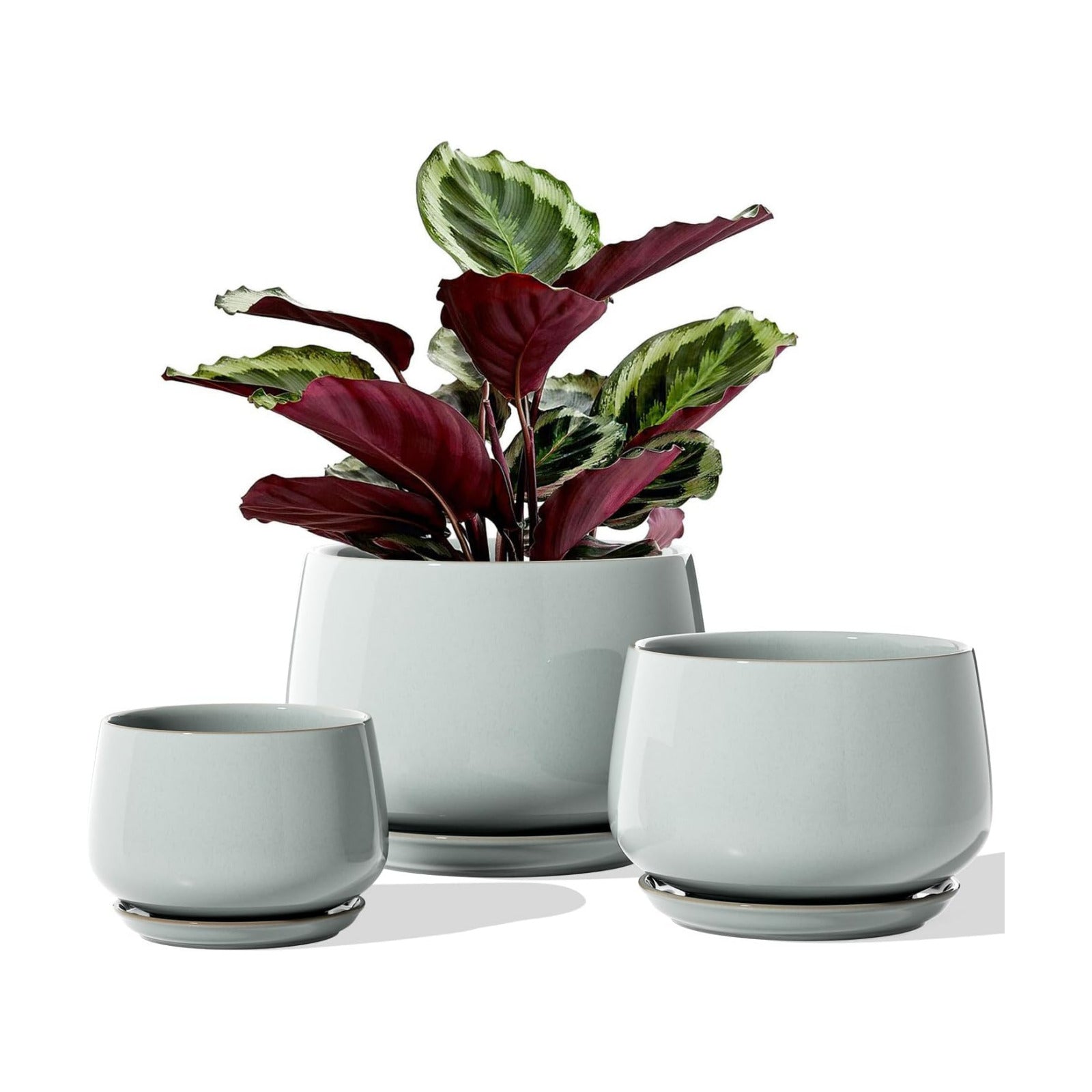 LE TAUCI Plant Pots for Indoor Plants, 4.1+5.1+6.5 inch, Set of 3, Ceramic Planters with Drainage Hole and Saucer