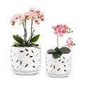 EFISPSS Ceramic Orchid Pots 5+6 Inch White with Drainage Holes & Tray, Breathable Airflow, Indoor & Outdoor