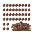 Apipi 1.2" Natural Small Pine Cones Fall Decor Christmas Ornaments, 40 Pcs