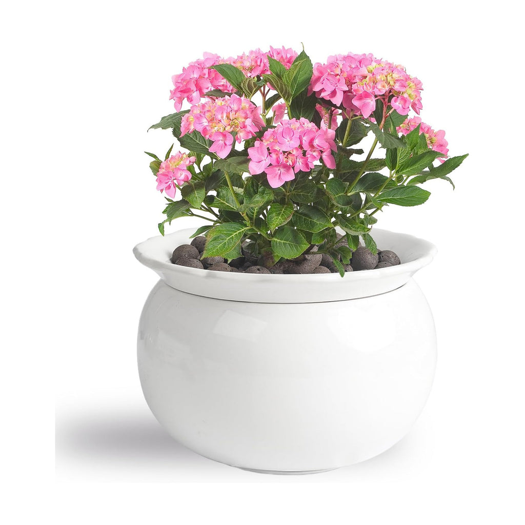 BUYMAX 6 Inch Self Watering Ceramic African Violet Pot Flower Pot Indoor | Absorbent Inner Pot Design | Automatic