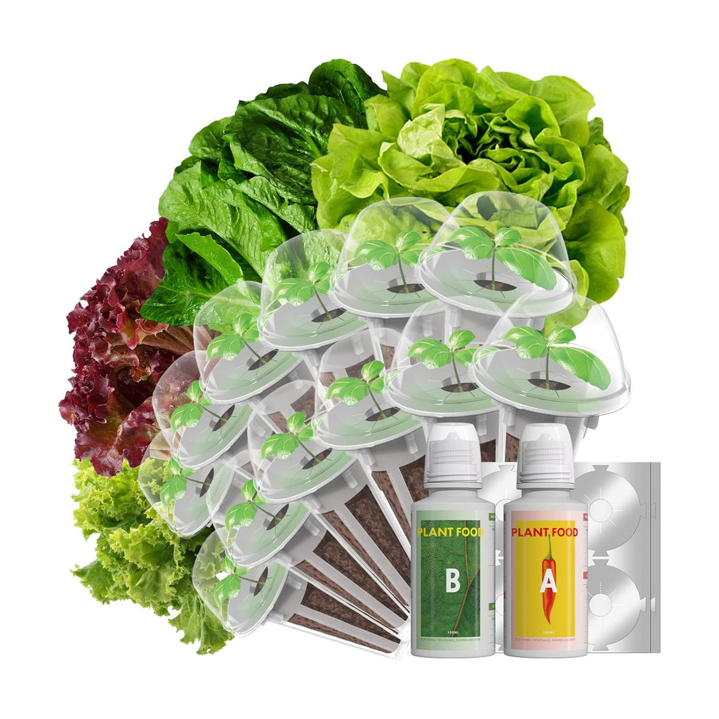 LYKOCLEAN Salad Romaine Lettuce Seed Pods for AeroGarden,Ahopegarden, iDOO Hydroponics Growing System,350 Seeds+