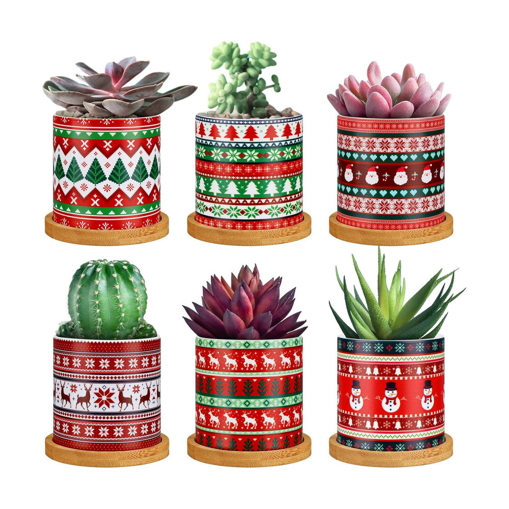 Tioncy 6 Pcs Christmas Succulent Pots 3.15'' Small Christmas Planters