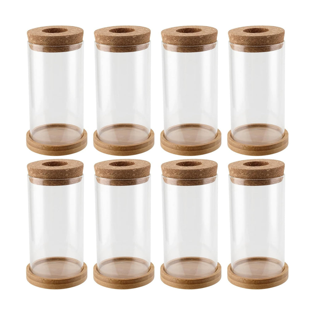 HOZEON 8 PCS Glass Planter Vase, Desktop Plant Terrarium, Tabletop Propagation Station Hydroponic Glass Planter for