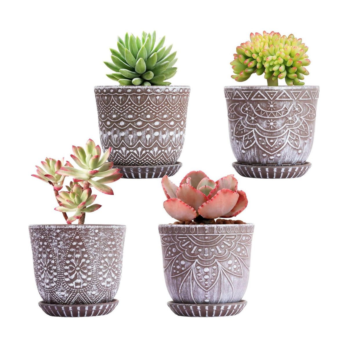 Gepege Ceramic Succulent Pots, 4 Inch Small Plant Pots with Drainage