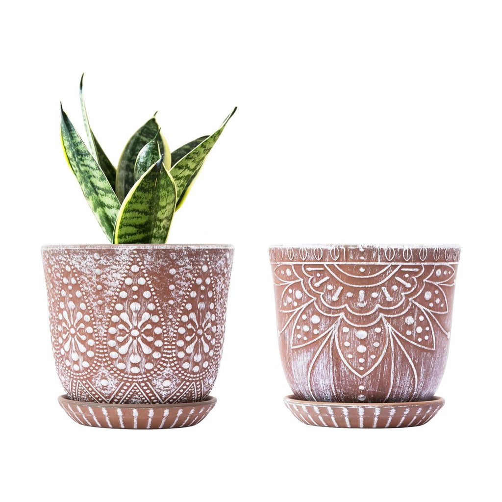 Gepege Ceramic Plant Pots, 6 Inch Indoor Planters with Drainage & Saucers | Ceramic pots for plants with drainage