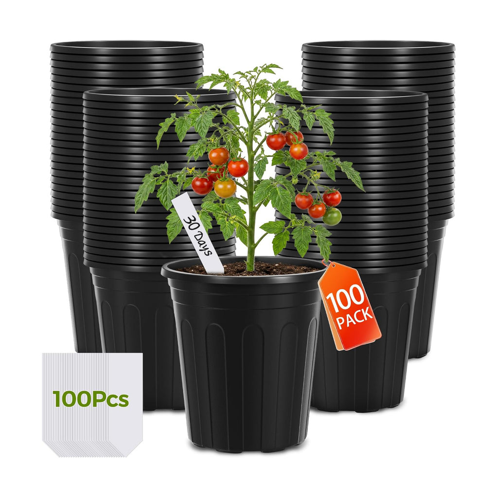 GroTheory 100 Pack 1 Gallon Nursery Pots, 6.7 Inch Plastic Pots for Plants | Plastic Flower Pots with Drainage Holes