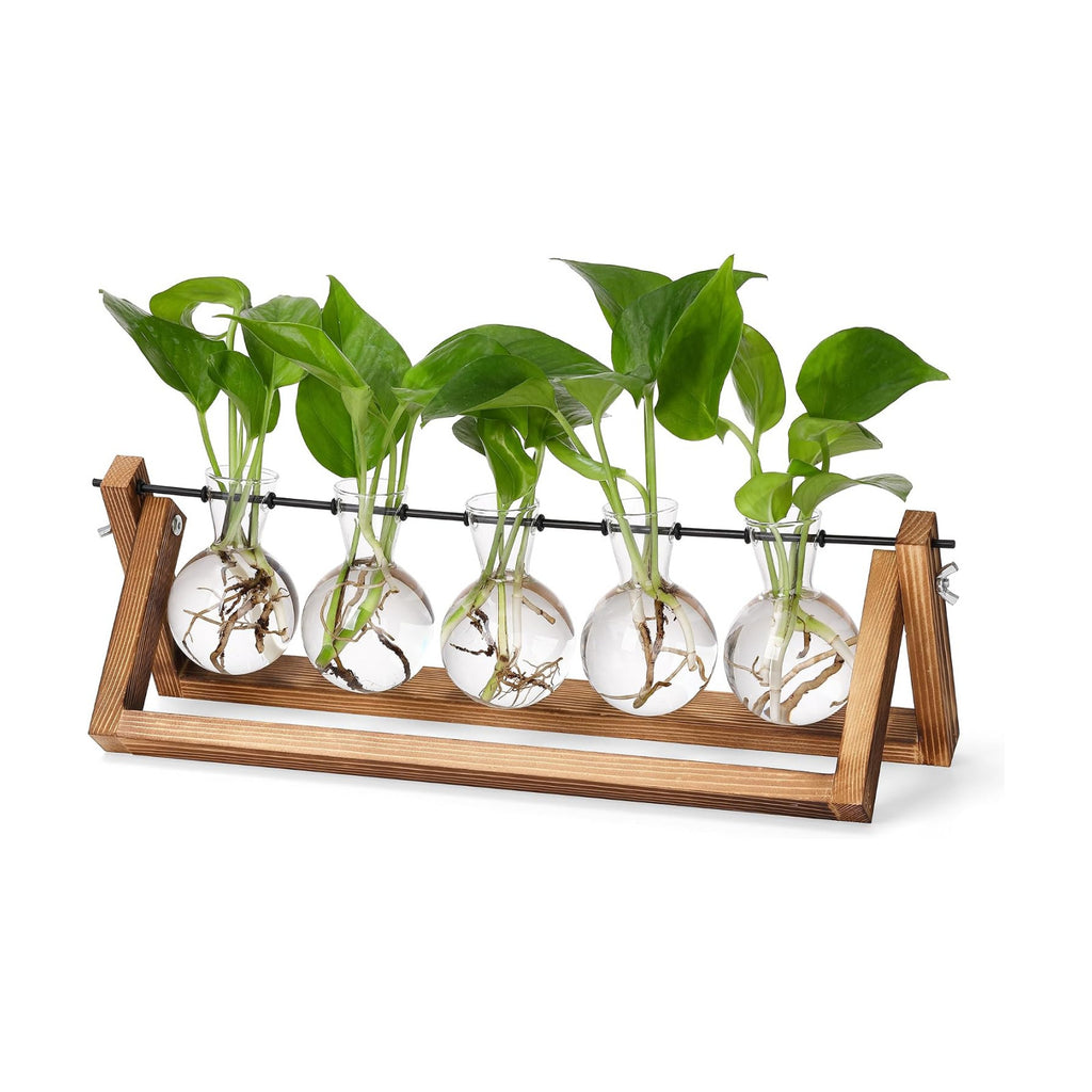 YIBOT Plant Propagation Stations with Wooden Stand & 5 Glass Bulb Vases | Tabletop Plant Terrarium for Propagating