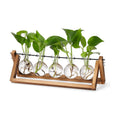 YIBOT Plant Propagation Stations with Wooden Stand & 5 Glass Bulb Vases | Tabletop Plant Terrarium for Propagating