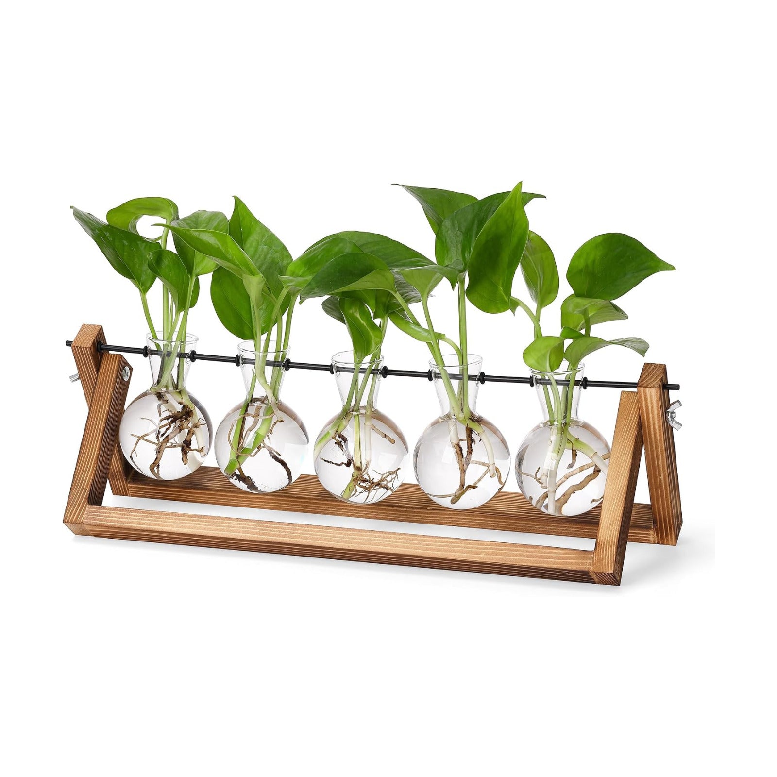 YIBOT Plant Propagation Stations with Wooden Stand & 5 Glass Bulb Vases | Tabletop Plant Terrarium for Propagating