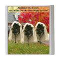 Plant Covers Freeze Protection 2.8oz 3 Packs 45"x40" Winter Tree Covers Frost Blankets for Outdoor Plants with Zipper