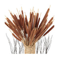 45pcs Large Natural Brown Cattails Bundles, 17'' Real Dried Flowers