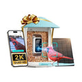 Birdfy Smart Bird Feeder with Camera Solar Power, Smart AI Birdwatching Camera, Auto Capture & Notify, Clear Day & Color Night Video & Pictures, Ideal Gift for Lover