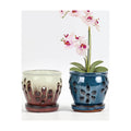 vensovo 2 Pack 4 inch Orchid Pots with Holes and Saucers, Blue and Brown