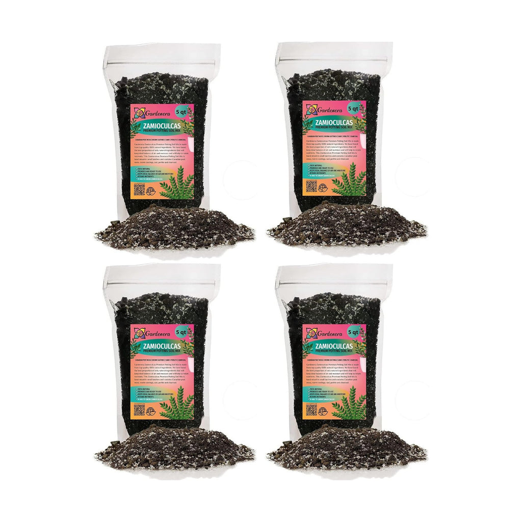 Zamioculcas Potting Mix - Unlock Robust Growth and Striking Leaves with Our High-Performance Formula - 20 Quart