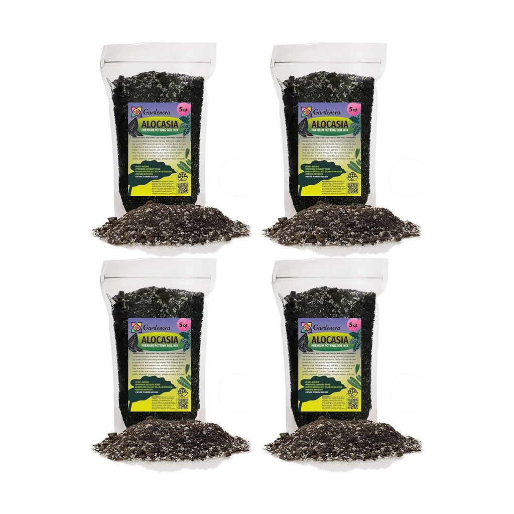 Alocasia Potting Mix - Unlock Robust Growth and Striking Leaves with Our High-Performance Formula - 20 Quart