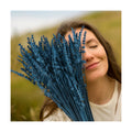 Glicrili Dried Lavender Flowers Real Stems Blue Bouquet for Vase Decor