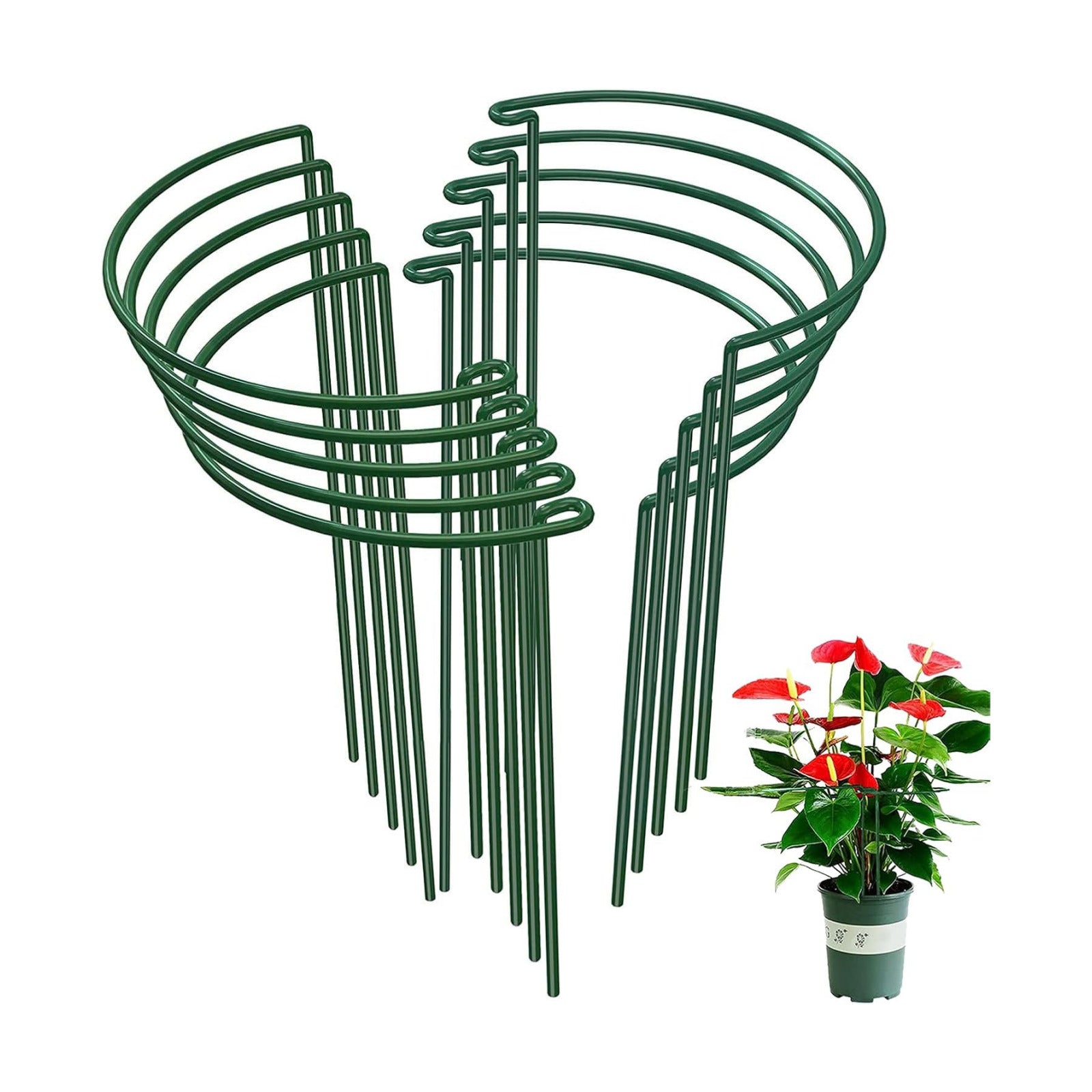 10-Pack Half Round Snake Plant Support Stakes, Plant Support Ring for Hydrangea, Peony, Dahlia and More, Rust-Proof