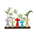 Glasseam Mushroom Propagation Station, Glass Plant Terrarium Jars with Tray | Colorful Small Hydroponic Planter, Pothos