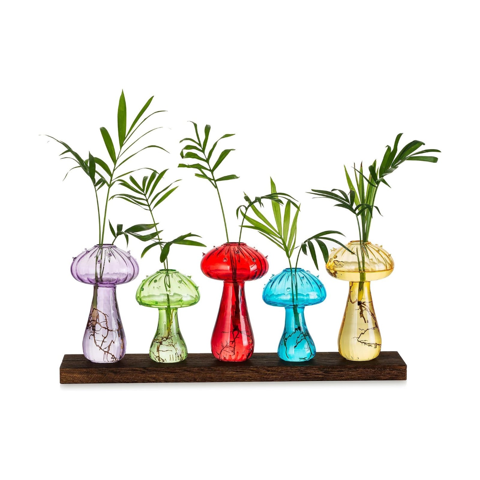 Glasseam Mushroom Propagation Station, Glass Plant Terrarium Jars with Tray | Colorful Small Hydroponic Planter, Pothos