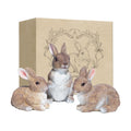 3 Pcs Bunny Decor Figurines Garden Decorations, Cute Bunny Yard Statues Outdoor, Easter Rabbit Statues, Hand-Painted