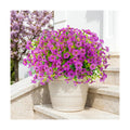 ATTGREAT Artificial Flowers for Outdoors UV Resistant, 12 Bundles(Purple)