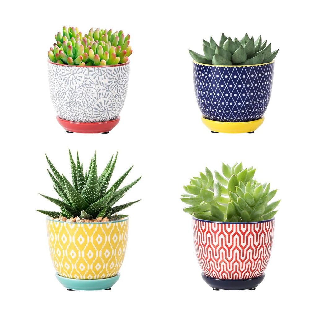 Selamica Ceramic Succulent Pots with Drainage Holes, Small Flower Pots 3.5 Inch Plant Pots for Indoor Plants with