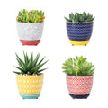 Selamica Ceramic Succulent Pots with Drainage Holes, Small Flower Pots 3.5 Inch Plant Pots for Indoor Plants with