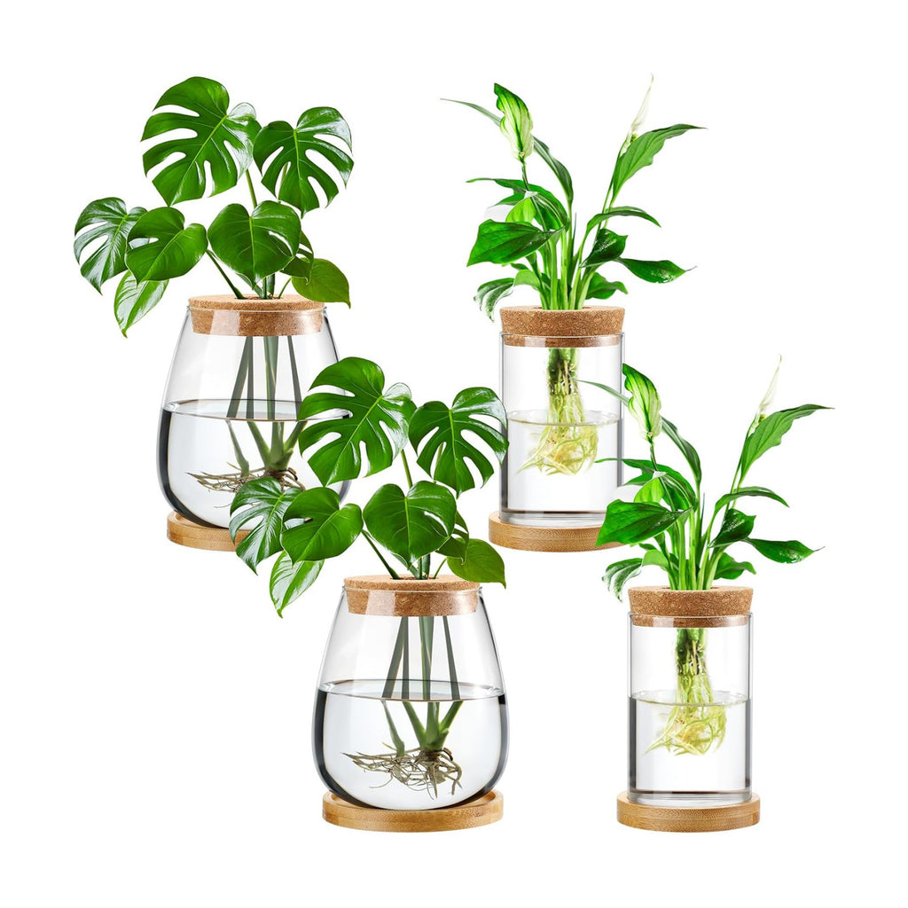 Layhit 4 Pcs Plants Propagation Stations vases Glass Planters with Wooden Lid and Bamboo Stand for Hydroponic Plants