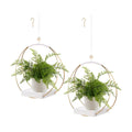hismocal 2 Pack Hanging Planter Holder for Indoor Plants, Plant Hanger with Sturdy Wood Base,Modern Boho Macrame Wall