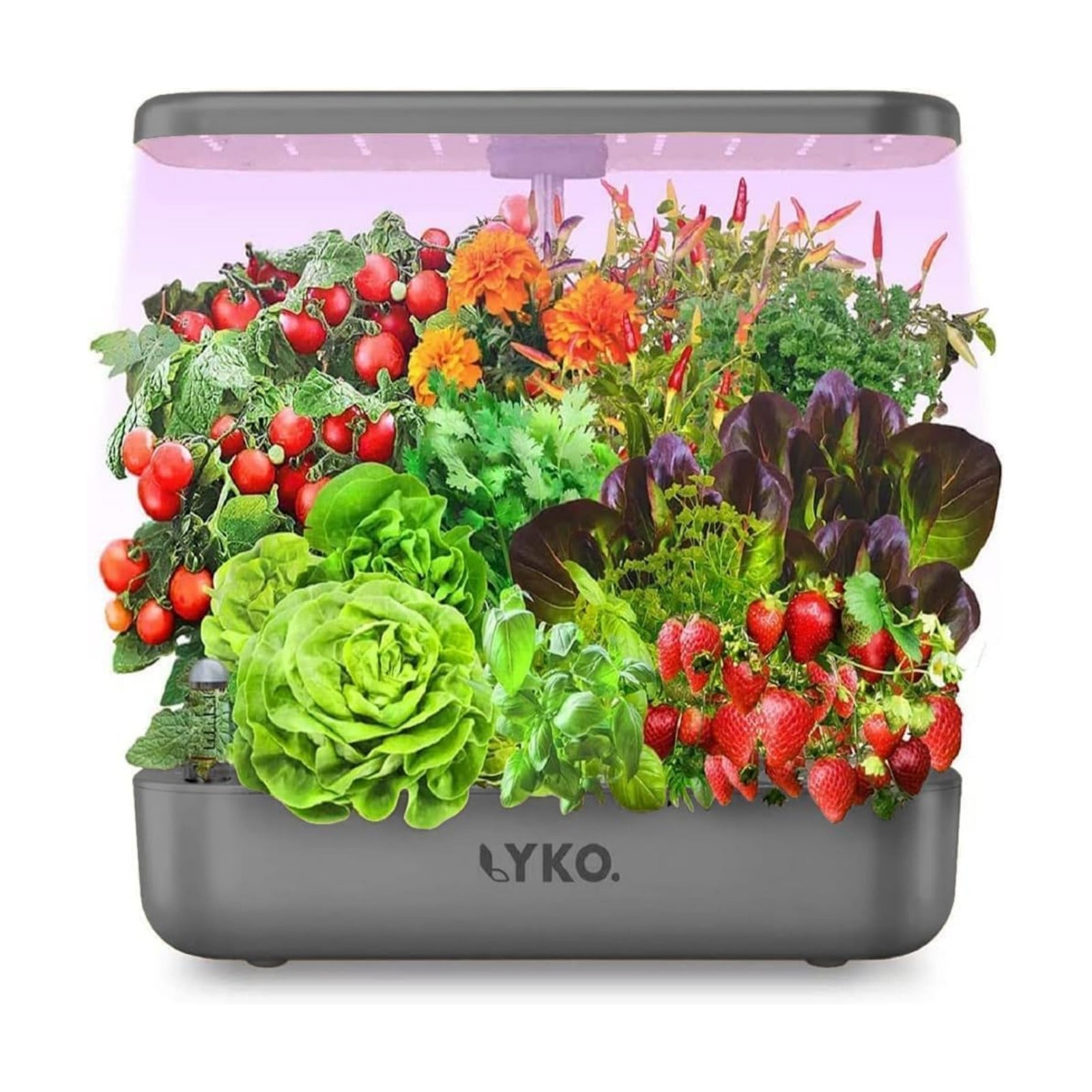 Hydroponics Growing System, 12 Pods Indoor Herb Garden Kit w/Full-Spectrum 36W Grow Light, Indoor Herb Garden Automatic