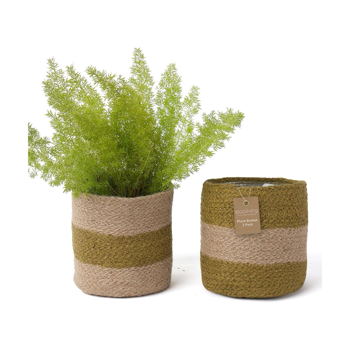 Small Jute Plant Basket, Set of 2, 6.5 Inches, Olive & Natural