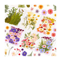 Evatage 124 Pcs Real Dried Pressed Flowers and Leaves for Resin Crafts