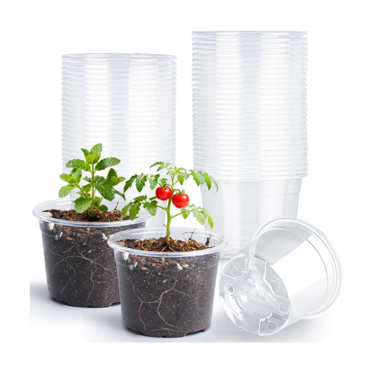 RooTrimmer 100 Pack 2.8 Inches Clear Plant Pots with Drainage Holes, Transparent Seeding Nursey pots, Round Plastic pots for Seeds Starter, Seeds Germination