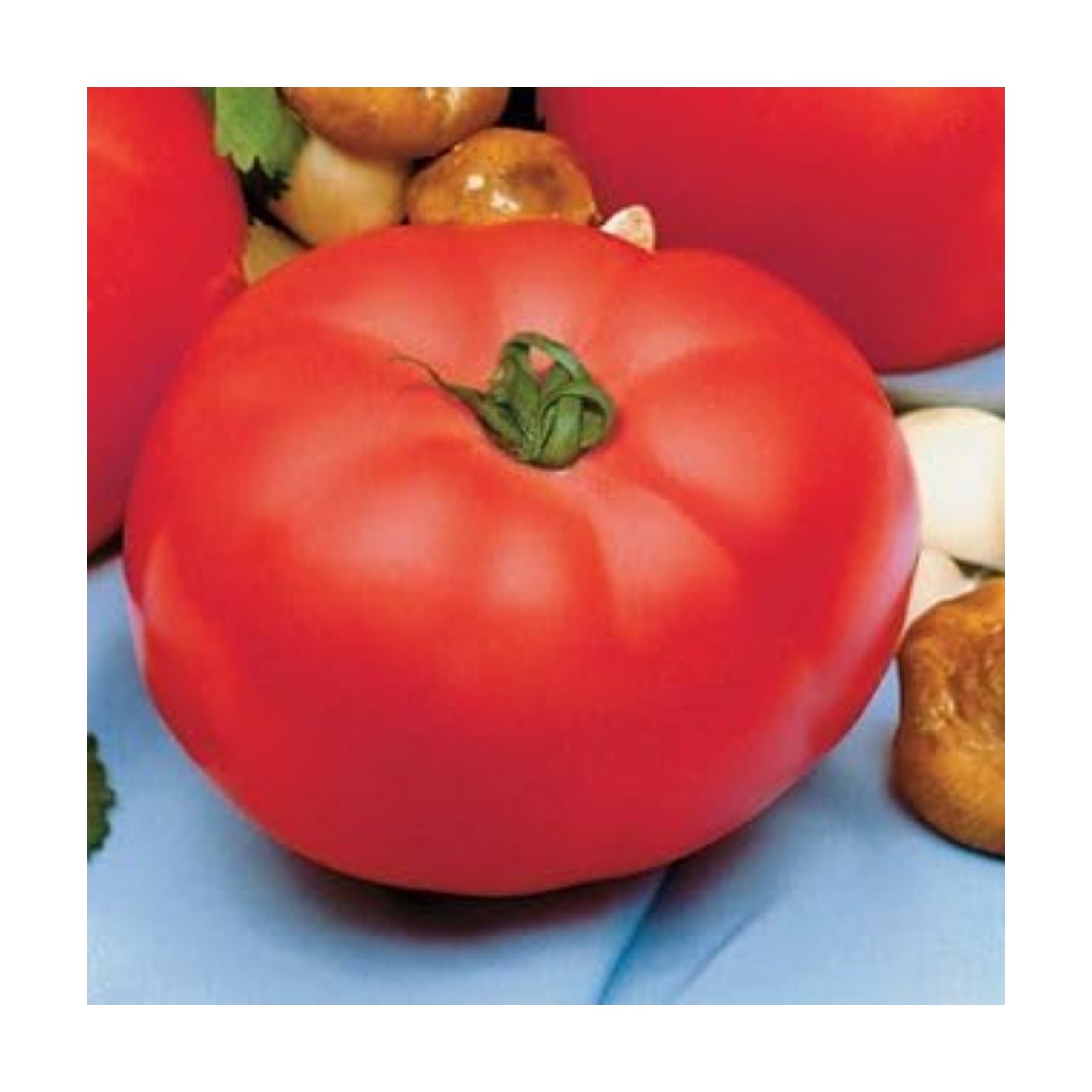 Park Seed Variety of Tomato Seeds, Planting Vegetables, Easy to Grow, Non-GMO, Perfect for Harvesting, Beefmaster