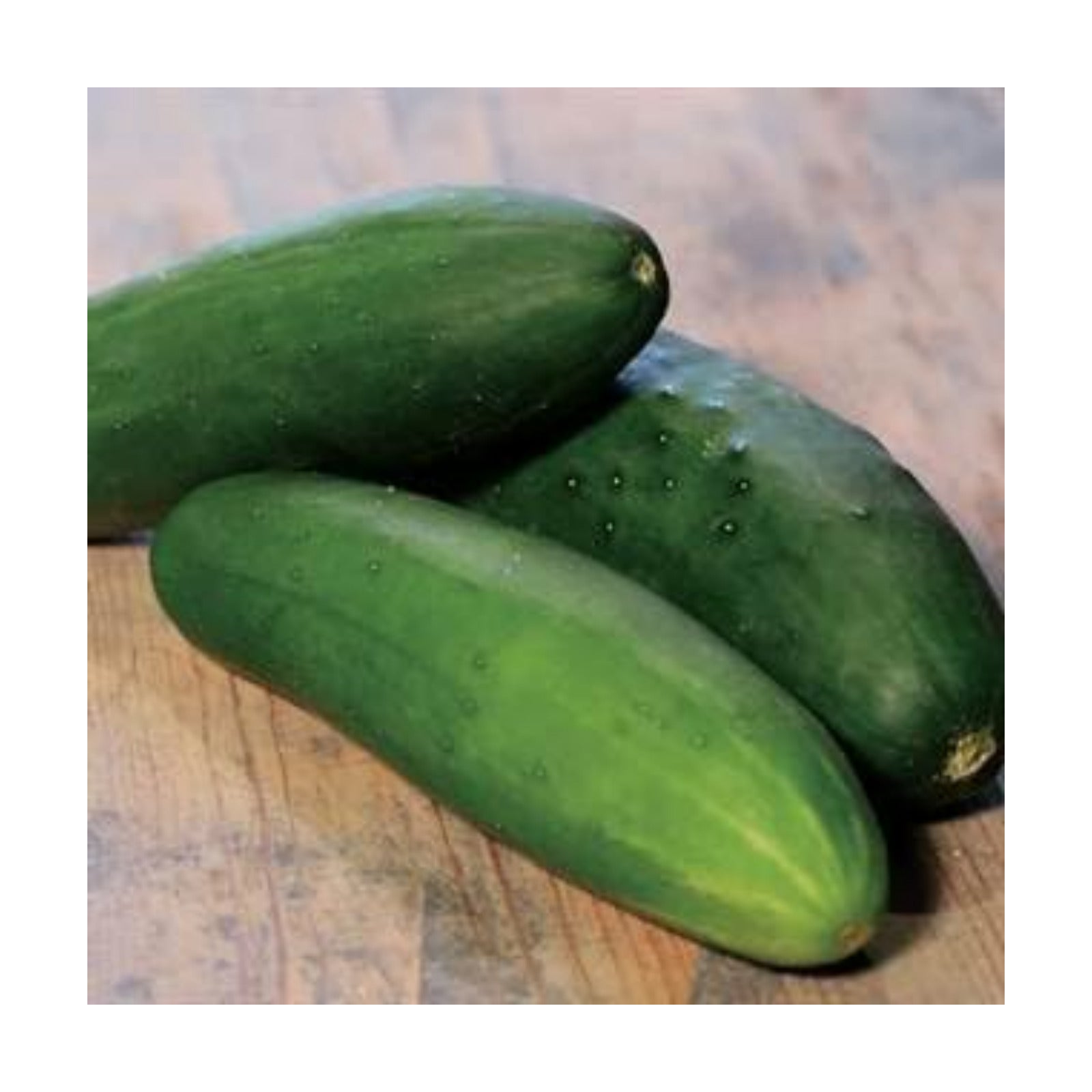Park Seed Variety of Cucumber Seeds, Planting Cucumbers, Vegetable Seeds, Easy to Grow, Non-GMO, Perfect for