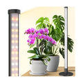 Barrina T10 Standing Grow Light for Indoor Plants, 20W 2FT, Full Spectrum | Desk LED Plant Light, Hanging and Standing