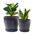 Plant Pots, Planters for Indoor Plants, Ceramic Plant Pots, 6.5+5.5 inch Plant Pot with Drainage and Saucer, Pots for