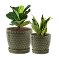 Plant Pots, Flower Pots, Planters for Indoor Plants(6.5+5.5inch), Flower Pots for Indoor Plant with Drainage Hole and