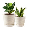 Plant Pots, Flower Pots, Planters for Indoor Plants(6.5+5.5inch), Flower Pots for Indoor Plant with Drainage Hole and