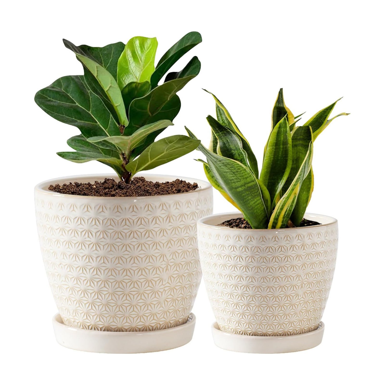 Plant Pots, Flower Pots, Planters for Indoor Plants(6.5+5.5inch), Flower Pots for Indoor Plant with Drainage Hole and