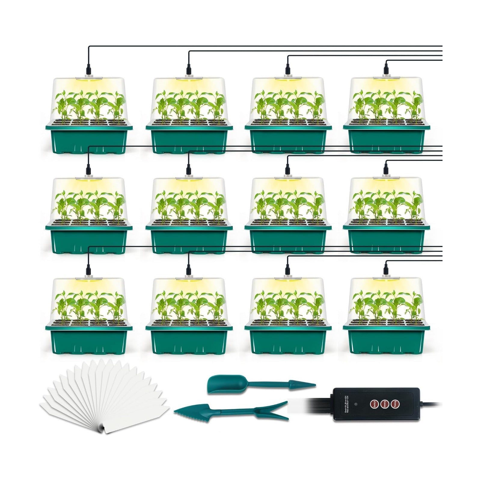 12-Set Seed Starter Tray with Grow Light, Seed Starting Trays Kits with Timing Controller Adjustable Humidity Domes